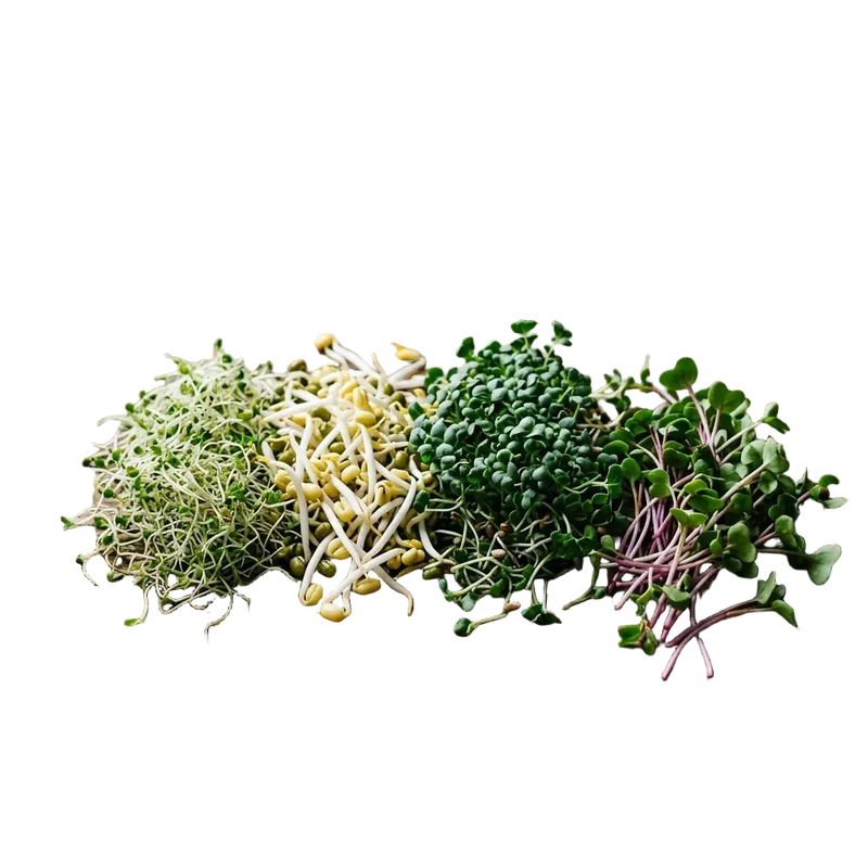 Sprouts