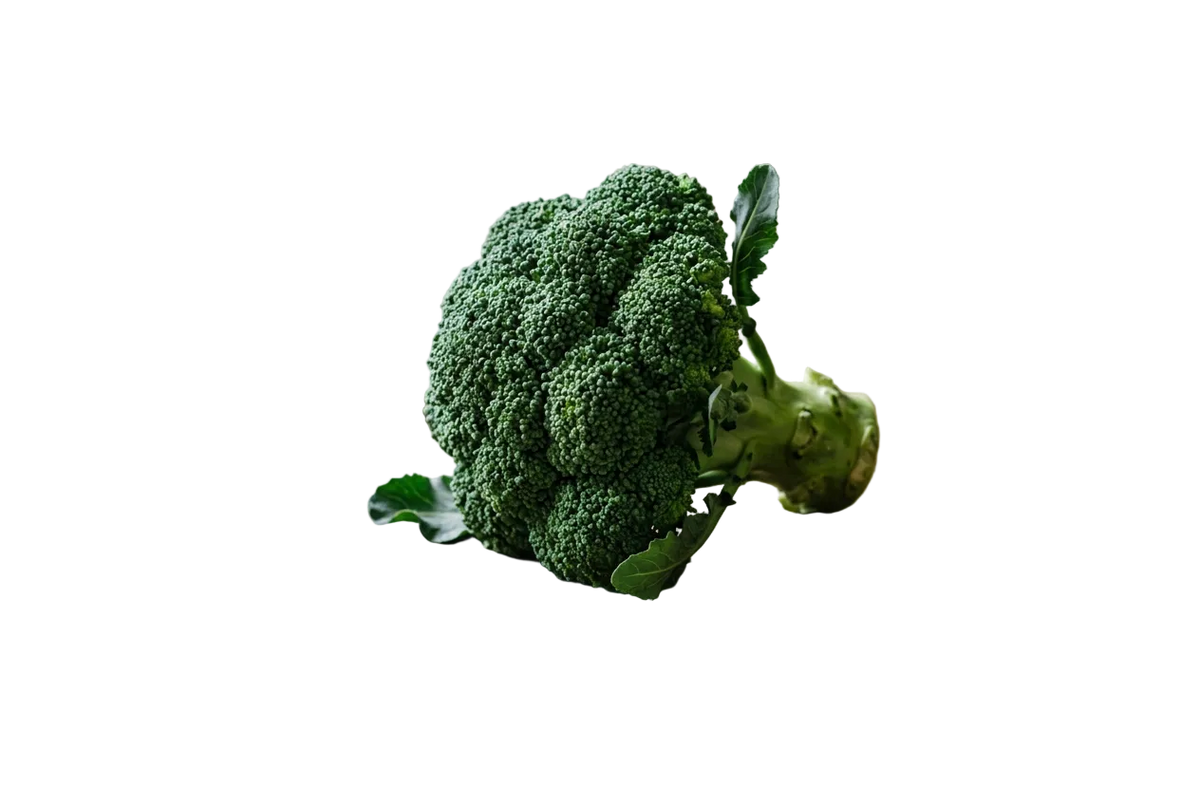 Broccoli Waltham