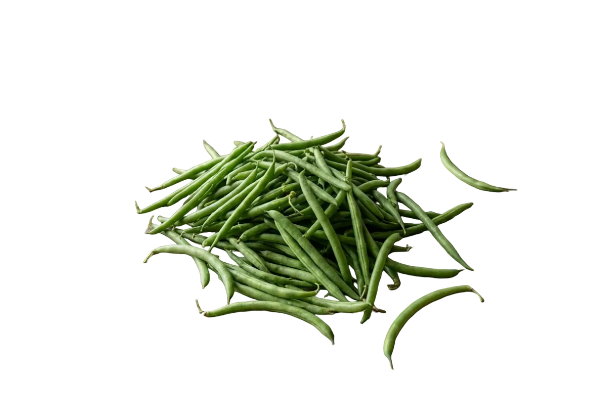 Bush Bean Strike