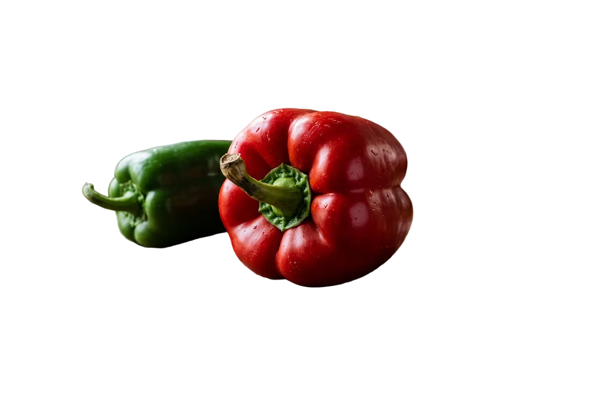 Capsicum Yolo Wonder