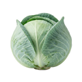 Cabbage Copenhagen Market