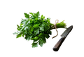 Parsley Italian
