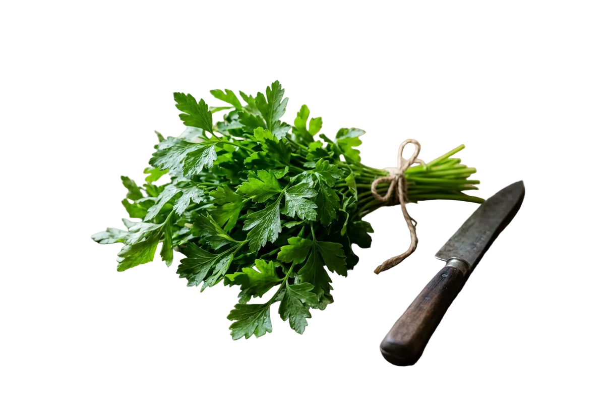 Parsley Italian