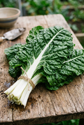 Silverbeet Fordhook