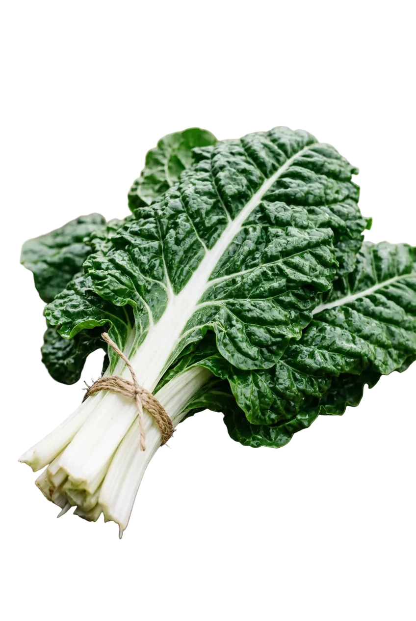 Silverbeet Fordhook