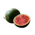 Watermelon Sugar Baby