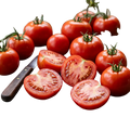 Tomato Moneymaker