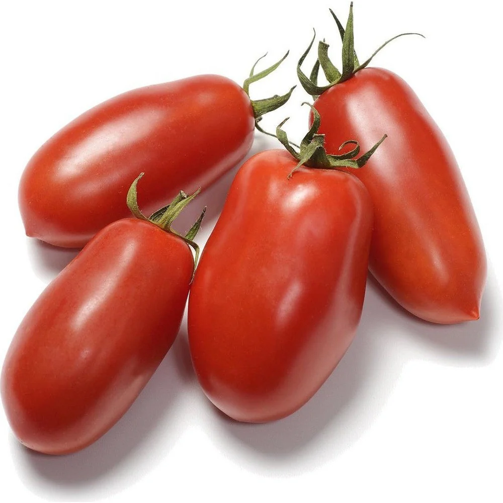 Tomato San Marzano Seeds