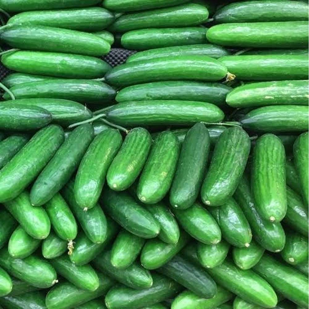 Cucumber Lebanese