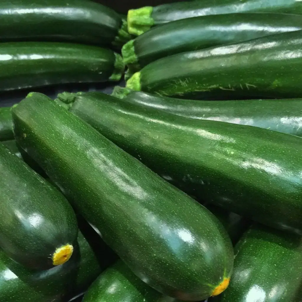 Zucchini 'Black Beauty' Seeds