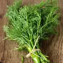 Dill Seeds