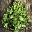 Coriander 'Slow Bolt' Seeds