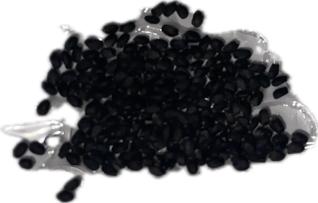 Basil 'Genovese' Seeds