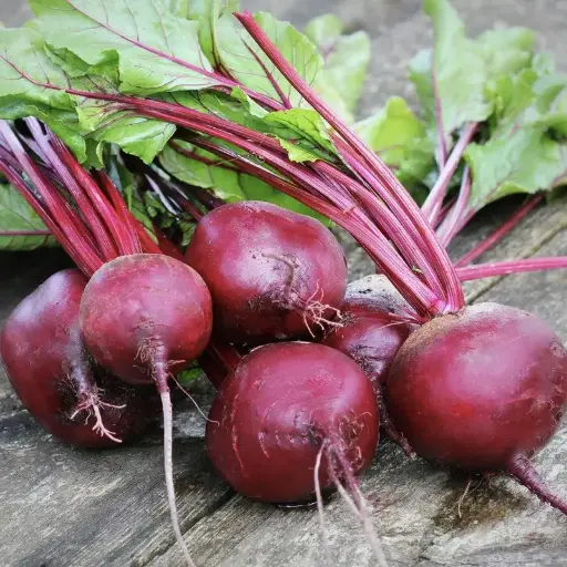Beetroot 'Detroit'