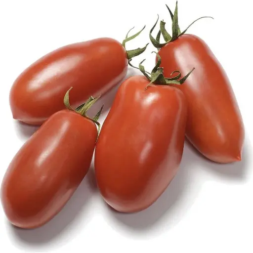 Tomato San Marzano Seeds