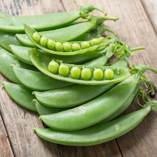 Shelling Pea Greenfeast