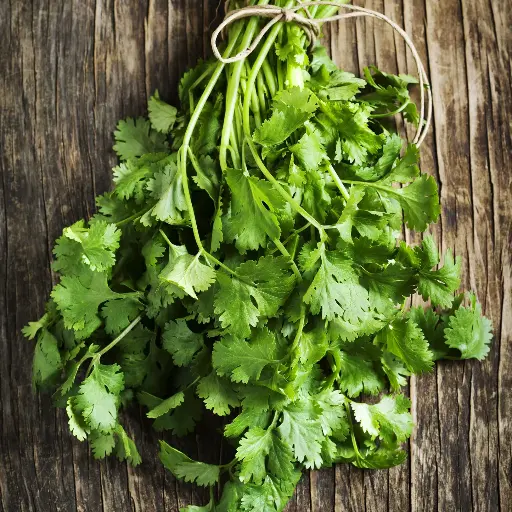 Coriander Slow Bolt