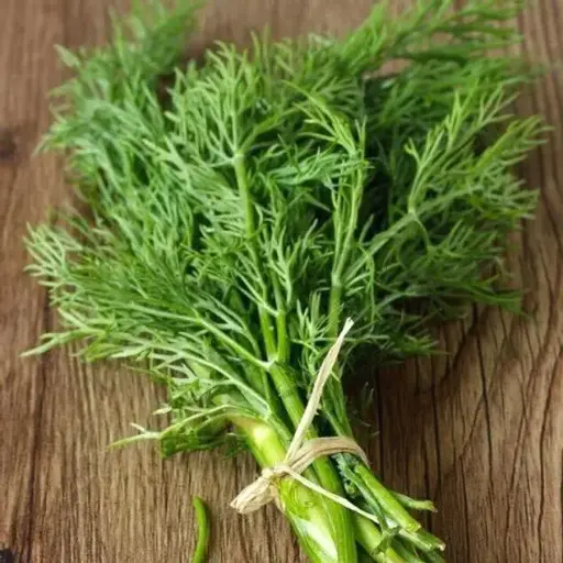 Dill Seeds