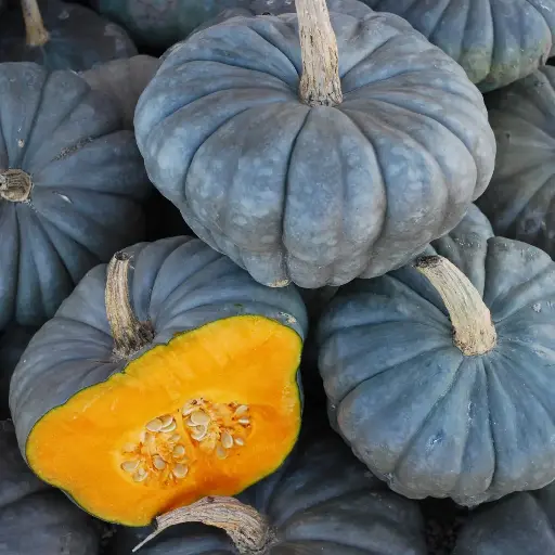 Pumpkin 'Queensland Blue' Seeds