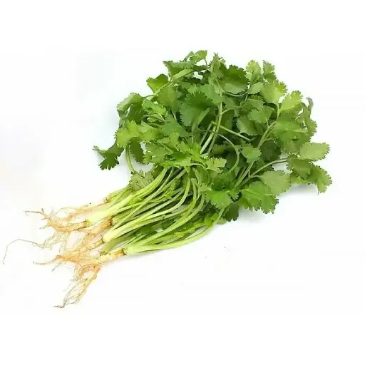 Coriander 'Eureka' Seeds