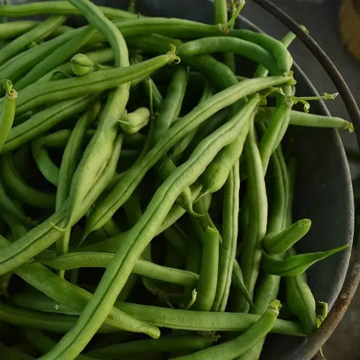 Bush Bean 'Jade' Seeds