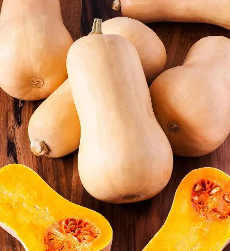 Pumpkin 'Butternut Waltham' Seeds