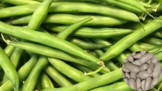 Bush Bean Strike