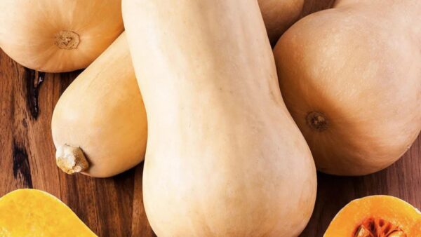 Butternut Pumpkin Waltham