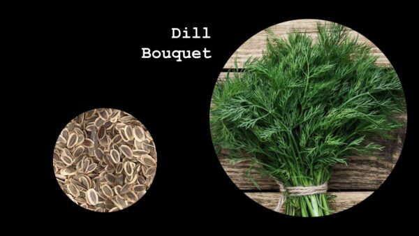 Dill Bouquet
